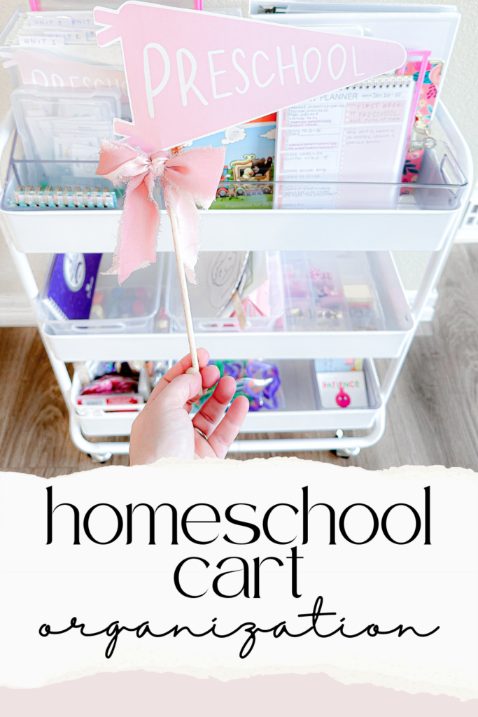 Homeschool Cart Organization